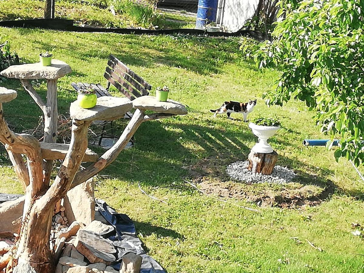 Apartmany Mk U Modre Kocky Nové Hrady Extérieur photo